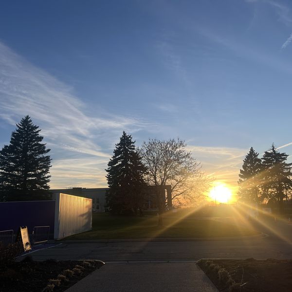 From Paisley Park, Chanhassen. Photograph by E.C.Balázs