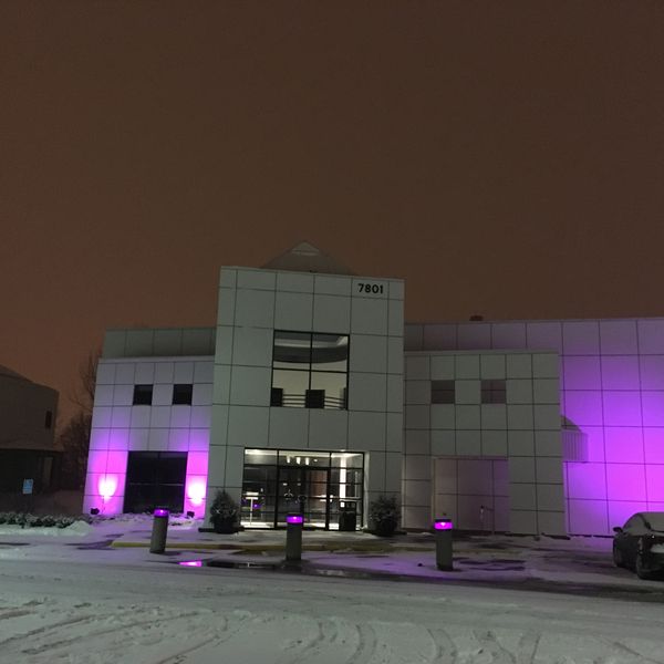 Paisley Park, Chanhassen. Photograph by E.C.Balázs