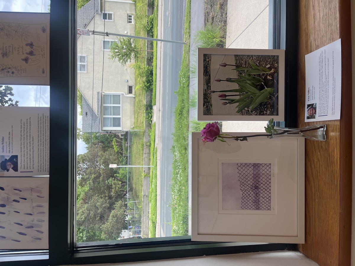 Installation view — Lisa Nilles, Purple Resurrection